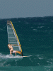 Windsurfer.gif